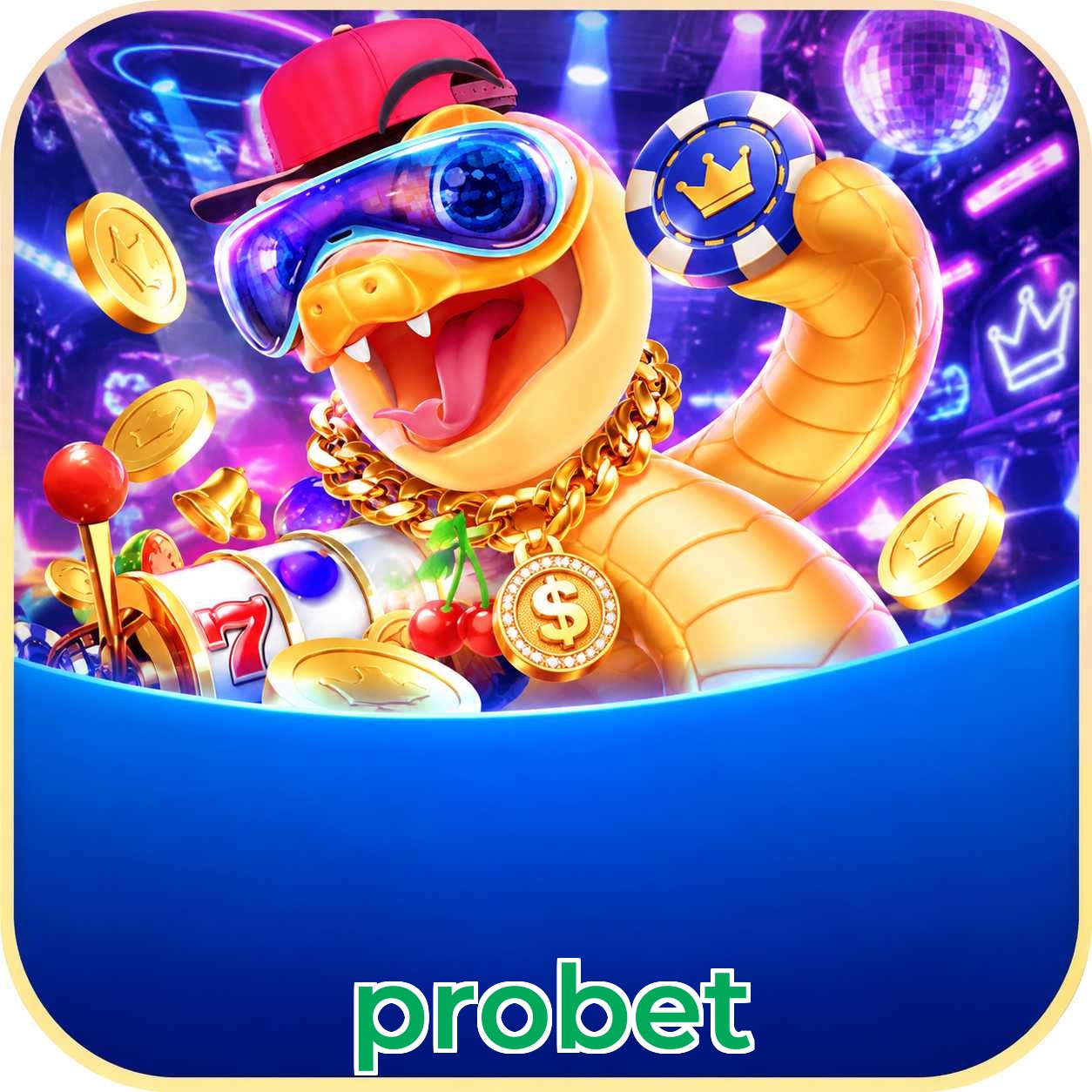 probet Security Analysis