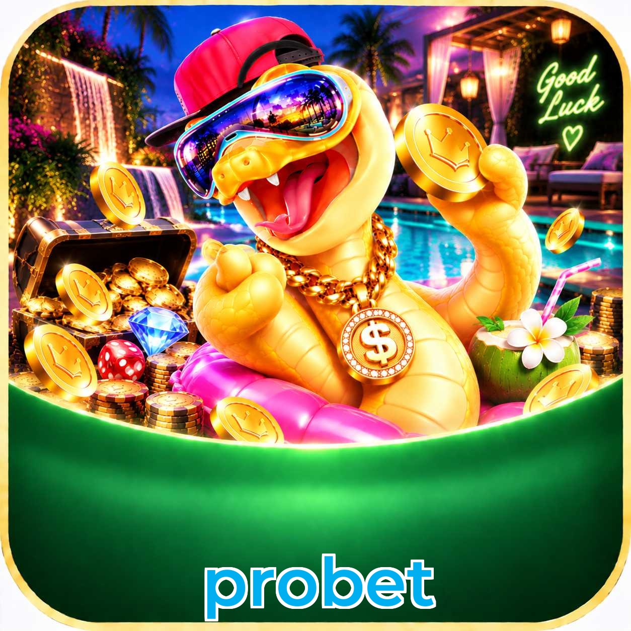 probet Installation Guide